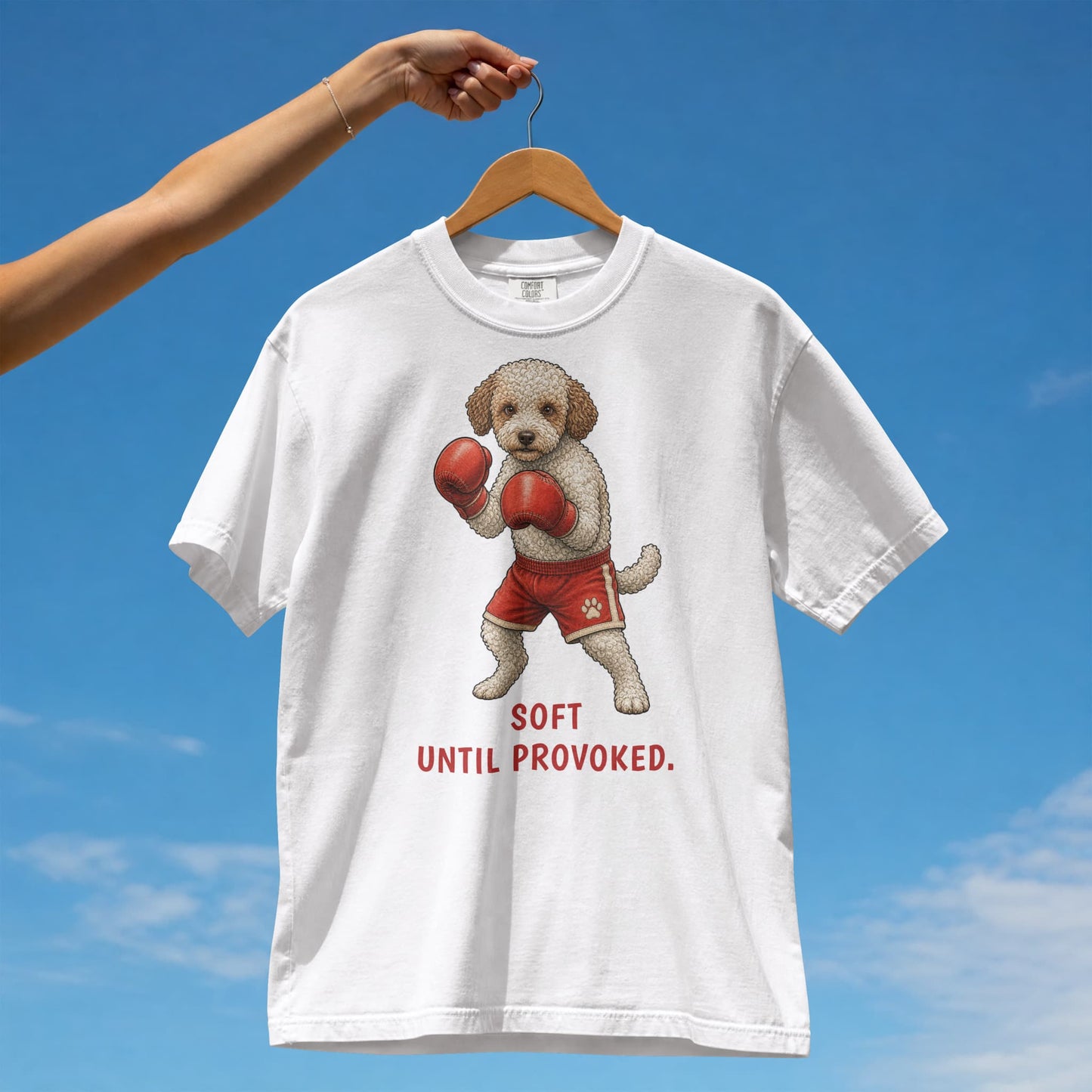 Soft. Until Provoked. — Boxing Lagotto Te